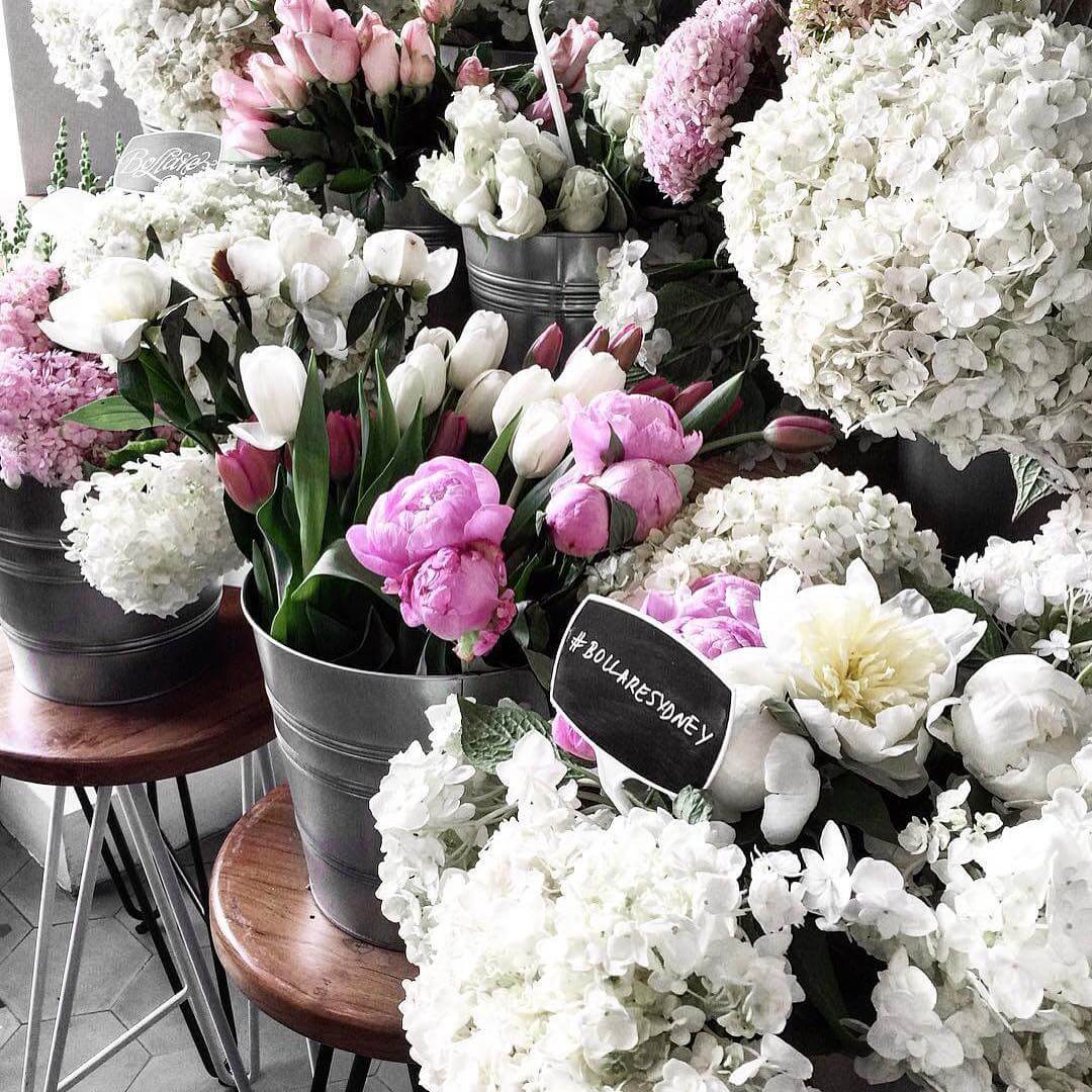 Suspendisse consequat orci new